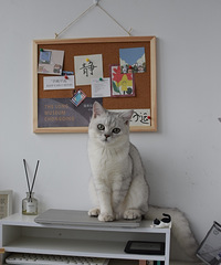 ���˹����ף���ƤҲ�����Ƥ��ϲ��Ҳ�����ϲ��