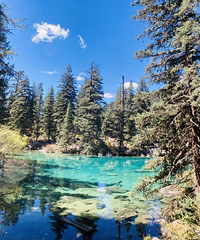 ɹܶ£ȪƵ곬ֵҰǺͺȺ