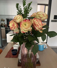 ��������ʱ�ⶼ�����������ڳ��ա����֡��˶����Ȳ衢����...