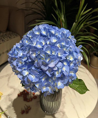 ��������ʱ�ⶼ�����������ڳ��ա����֡��˶����Ȳ衢����...