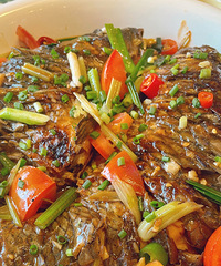 ����ɽˮ�����£�ʵʵ���ڵĿ��˸����˹��������鴫