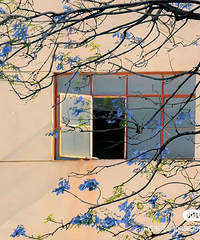 ��û�а���ĵ������ԣ����������165~170֮�䲻̫�ߵ�