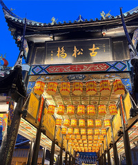 ԽɫϣڸɳĮϸ·ߺ;Ƶ