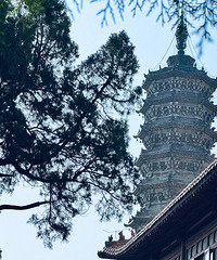 űϵİ£йʷϵһҪͥ