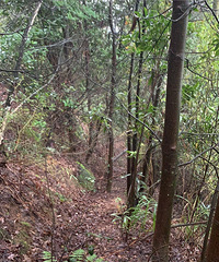 Ұͼûеʤˮ£·3СʱѵС