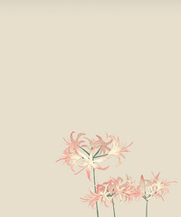 ۿھҪˣһָðˣĵֿ