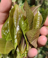 ддҵĹ£ɻƣˮ裬ʣԸסƵ