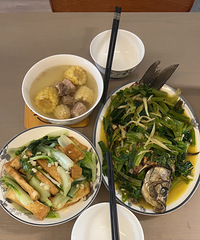 ��Ͼ�����Ӻú�����ʵ�����ң�Ϳѻ���顢�˶��廨���³�...