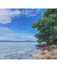 ȥɱ¡Σеܷ㣬ʺǱˮ