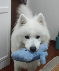 û�뵽��������ϴ��ѣ�����һ�½�������ɣ�