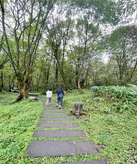 Լݶü񹵣ʳιũɽȪ