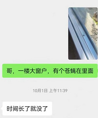 几万块的玻璃夹层里有一只苍蝇,感觉像吃了苍蝇