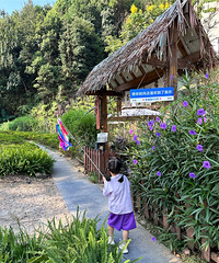 四岁宝子,第一次citywalk,全程自己走
