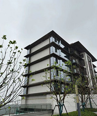 ����������ֵ������