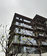 ����������ֵ������