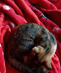 90170CMĸ飬ϲ羰ʹë