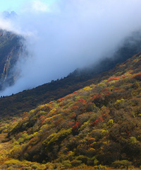 90갮Լݺ¶Ӫĸ飬ϣԷ87~95