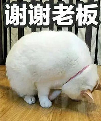 买家具大家有什么建议吗?哪些能买哪些不能买