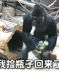 ������ֵ���򡿴���������8��14, ��Ŵ���ë��3��14.9