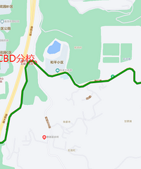 �ϰ����ĵ���ʯCBDСѧ��ʲô��ͷ��