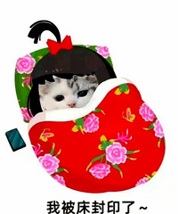 ������ֵ���򡿾������±�29.9����֮����޼Ӻ�˯����װ97