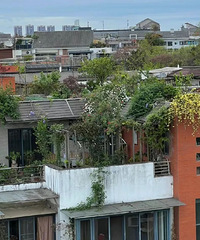 5�����4��С������Ϊ��������������������