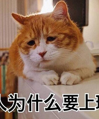 是不是有很多套房子就能实现财务自由了?