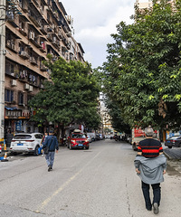 �����Ž�����֧·����