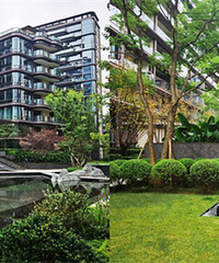 ����˴ɽ����̽��ɭ���ؾ���С�����Խ��Խ����