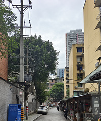 ���ڵ�ú���´�