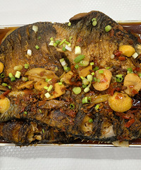 ��Ͷι����һ���������ۿɼ���Բ��һȦ������ˣ�