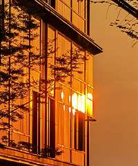 [����]̸̸����˴ɽ����ƽ��ľ�ס���ܣ���ȱ�㶼�ر���ʵ