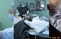 ��ҽ��һԺ��ֳҽѧ������ʽ��չ��ʹȡ��