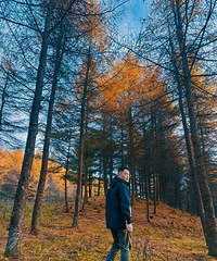 85176CMڵڱ飬ϣԷδ