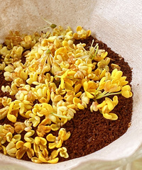 �й��ӵĵ������ӵĶ����ճ�����������ࡢȥ�����ҡ��������޹�