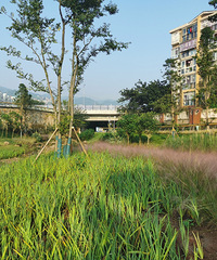 ķĺõطͣй԰Ͷͯ԰