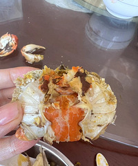 �Ǻǣ���һ���򵽽����Կ�������