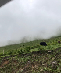 ����֮����һ������ˮǧɽ���и���Ϊ�����