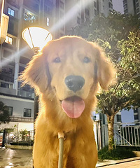 97176CMĦС飬Ӱ¥ͼĹ