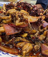 �����Ÿ����ܲ����۵�һ�ҳ����ܵĽ�����