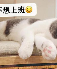 为啥我不想工作也不想交际