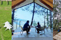 Щȥ18¶ӪõطлҲҰ