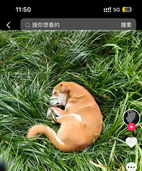 ����һ��ҵ�������˹�����һ��ҵ�����������֧���ĸ���