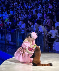 �ֺ��ֶ��ĻʼҴ���Ϸ�ͺ������̫�����ˣ�����һƿ��ȪˮҪ8��