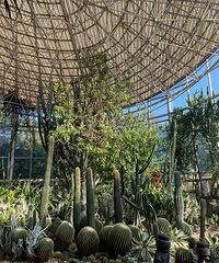 ȥ������������ߵ�Ħ���֣�����ֲ��԰ֵ��ȥ