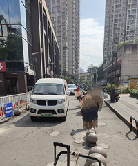 ����̳����¥��