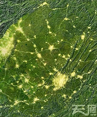 ���������λ