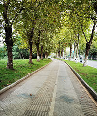 Citywalkday�����մ�ѧ��ͽ������