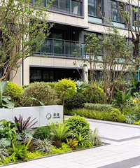 �����뵺��������ϳ�̲ ���ӷ���