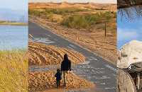 ɳգ̽ͧɳĮӪغʹ̼Ŀ